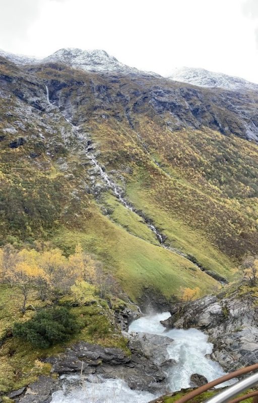 Bildet viser elva Videdøla.