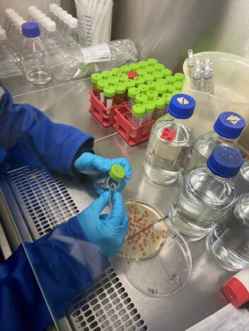 Bildet viser hender og flasker med fisk i laboratoriet.