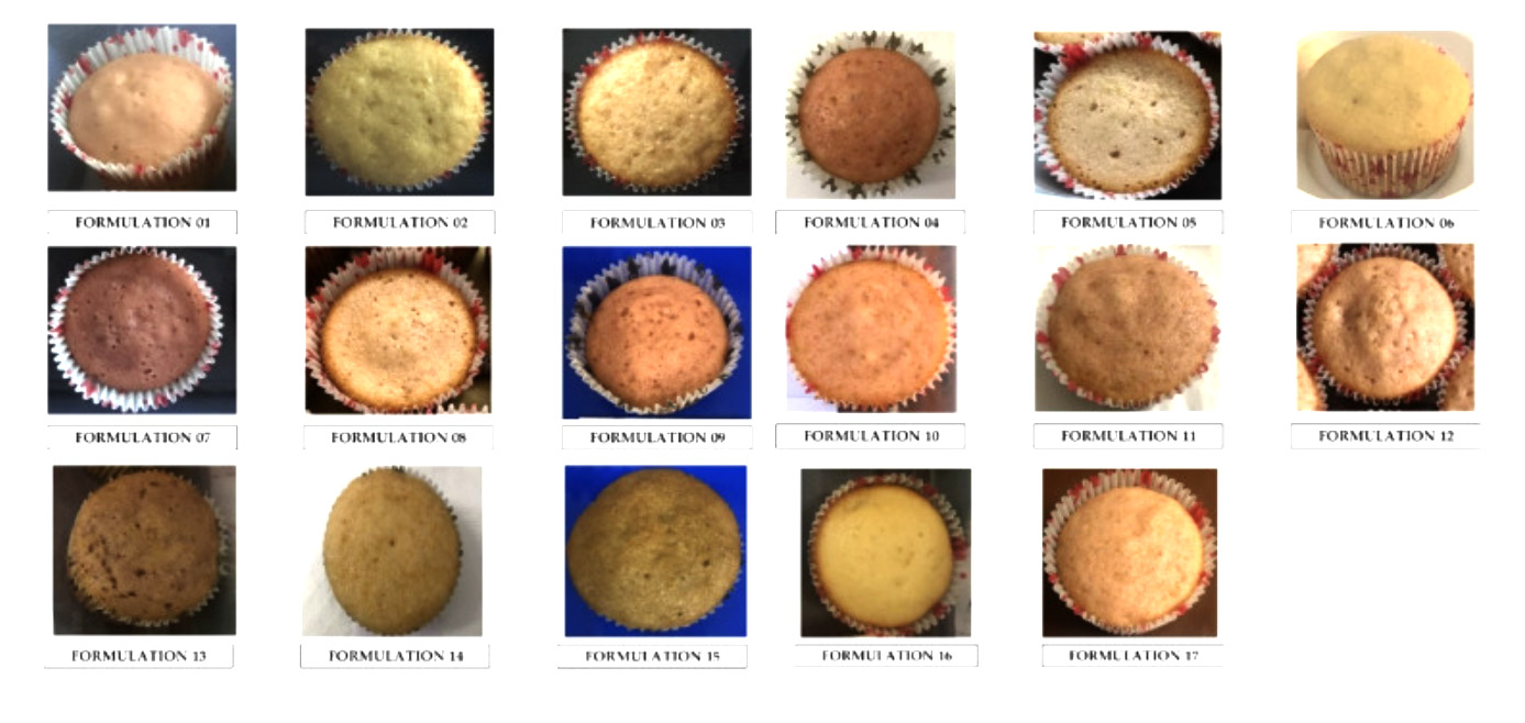 17 muffins i form laget med ulike oppskrifter