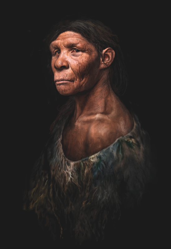 Neandertaler. Illustrasjonen viser en kvinne.