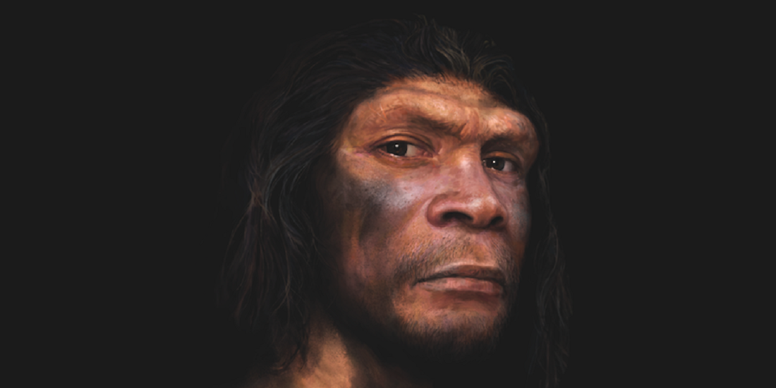 Neandertaler. Illustrasjonen er en lekker tegning av en mannlig neandertaler.