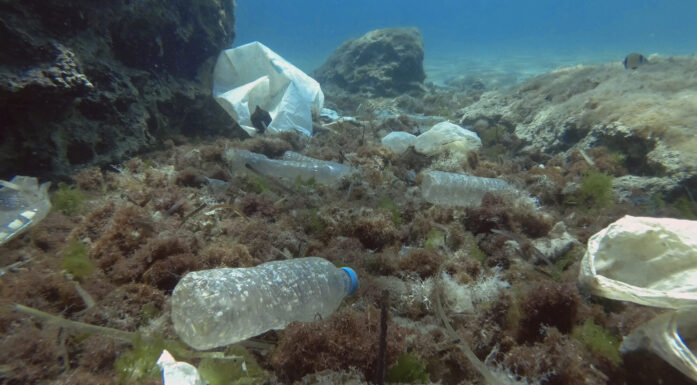 Plast i havet kan også bidra til antibiotikaresistens, tror forskere.