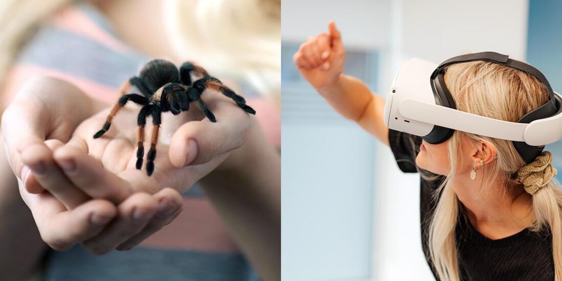 Bildet viser edderkopp og virtuell terapi