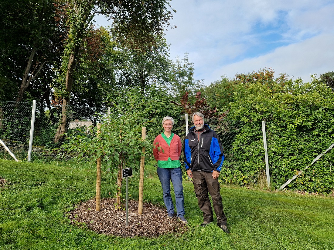 Malvikeplet. Bildet viser Vibekke Vange og Stefan Patrick Nilsen ved RIngve botaniske hage.