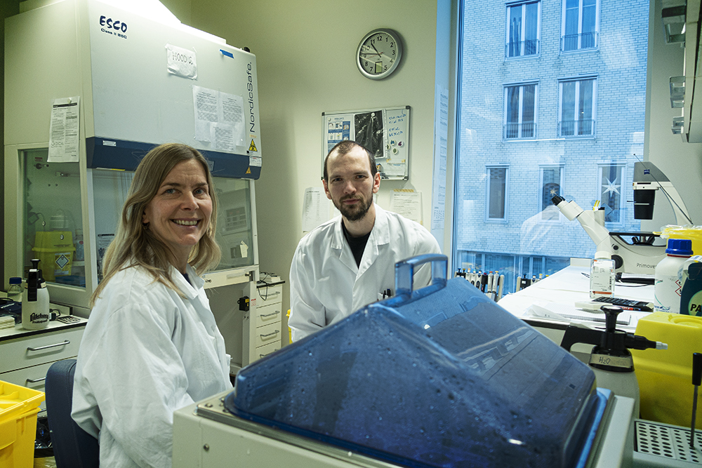 Mann og kvinne i hvite laboratoriefrakker i et medisinsk laboratorium. Artikkel om bakterier som ble kunst