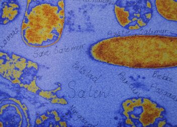 Bilde fra mikroskop som viser bakterier