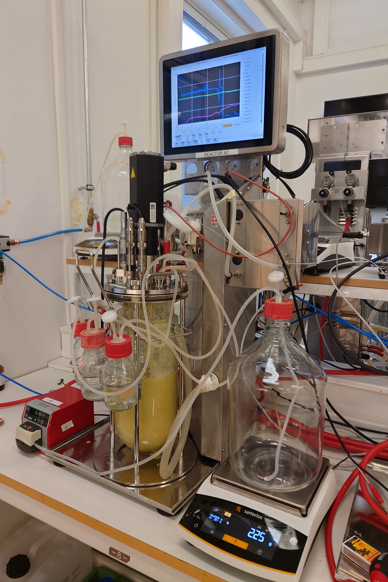 Tang. Bildet viser laboratorieutstyr som brukes under fermentering av makroalger.
