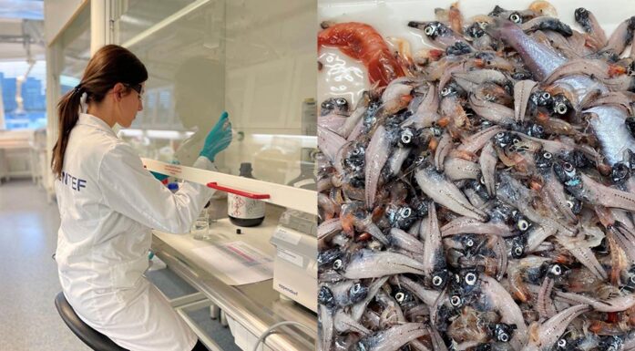 Maria Alquiza Madina i laben. Sild.