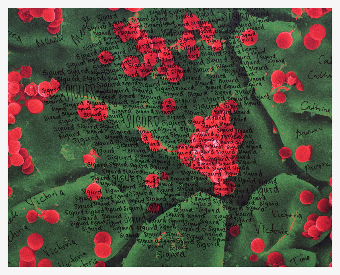Bildet som viser et kunstverk av tapet med bilder av bakterier