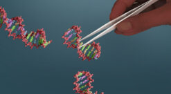 Illustrasjon av saks som klipper i DNA-tråder