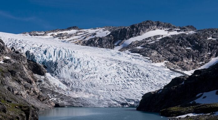 Isbreer. Bildet viser breen Rembesdalskåka.