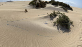 Ny metode avdekker store metanutslipp – mange kan tettes umiddelbart 