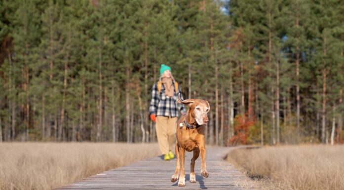 Ryggplager. Bildet viser en kvinne som går tur sammen med hunden, sett forfra.