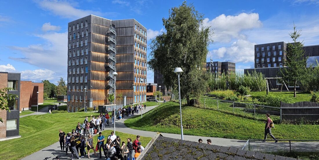 Gjenbruk av møbler: Kø på Moholt studentby da det var gratis møbler å få.