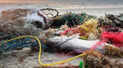 Plastforurensning på ei strand. Foto: Colourbox