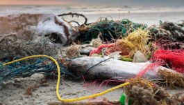 Slik kan vi løse problemet med plast i havet