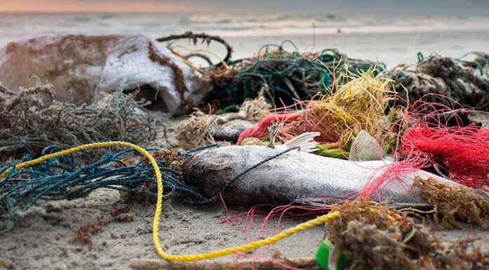 Plastforurensning på ei strand. Foto: Colourbox