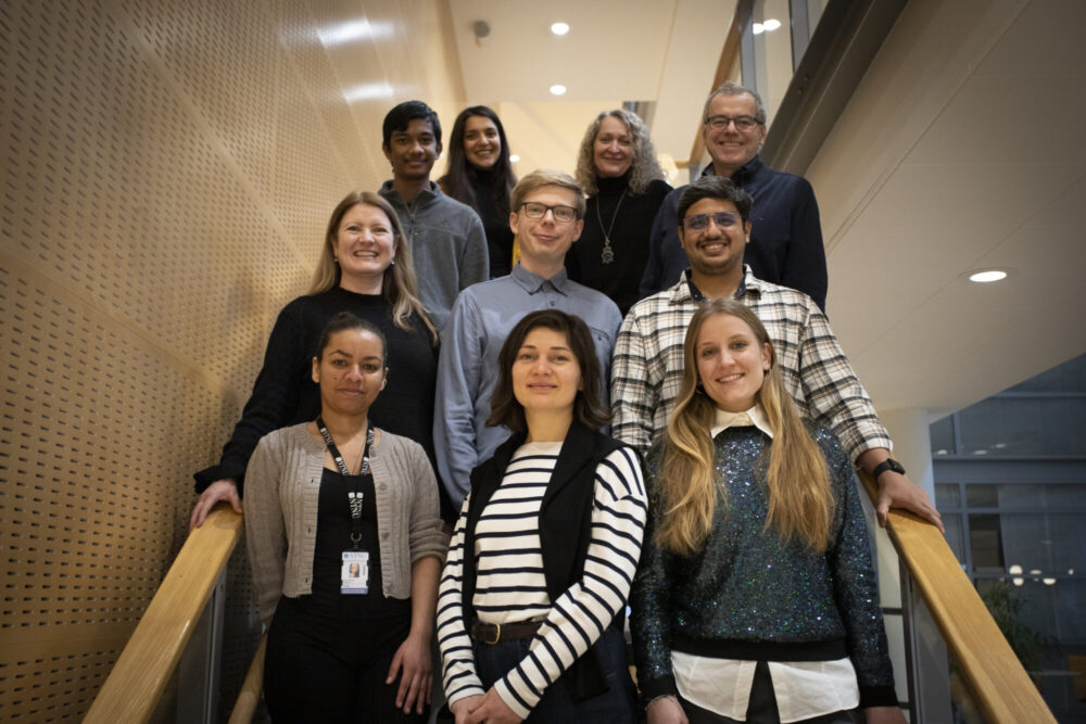 Alle deltakerne i prosjektet Sweet Spot