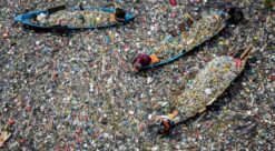 Luftfoto av elv som er tettpakket med plastsøppel. Vi ser folk i tre åpne båter plukke plast.