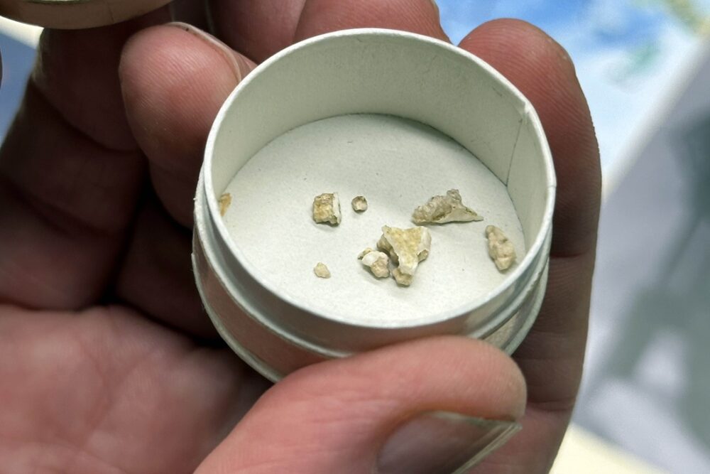 Ekspedisjoner. Bildet viser en eske med noen biter av en kalkalge samlet inn av Charles Darwin.