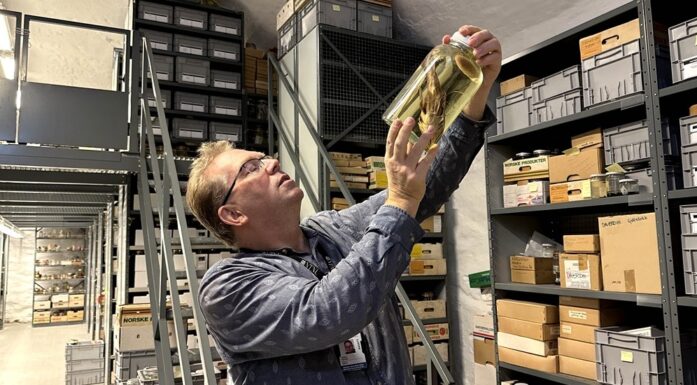 Ekspedisjoner. Bildet viser Karstein Hårsaker som kikker på et glass med en fisk.