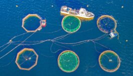 Fiskeoppdrett minst skadelig for havbunnen i nord