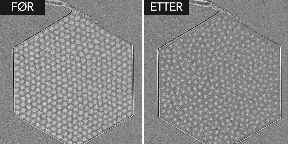 Dette er to bilder av skyrmiongitteret, før og etter at det har smeltet. Foto: QuSpin