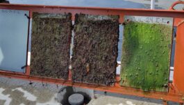 Grafénbelegg kan erstatte gift for å rengjøre båten