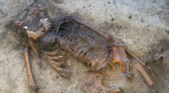 Bildet viser kvinnen so ble funnet.