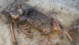 Oppsiktsvekkende vikingtidsgrav begeistrer arkeologene