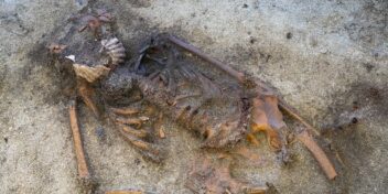 Bildet viser kvinnen so ble funnet.