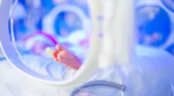 Foten til en liten baby i kuvøse.,