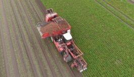 Vil plastforbruket til livs med å bruke norske landbruksrester