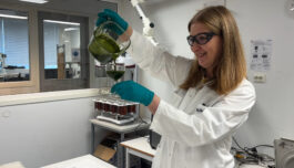 Insekter kan bli vår hemmelige beredskapstropp 