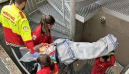 Samarbeid er en ferdighet – det må trenes