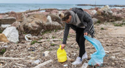 Miljøgifter. Bildet viser person som plukker søppel i fjæra