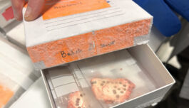 Avslørte aggressiv prostatakreft med banebrytende metoder