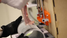 Å sette fast tunga. Vitenskapen bak en veldig kald tabbe