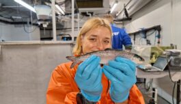 Erstatter soya og fiskemel med mikroalger