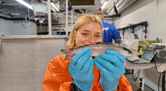 Fsik som har fått startfor laget av kieselager i stedet for soya.