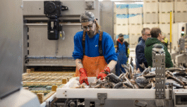 I denne tradisjonsbedriften økte produksjonen med 50 prosent