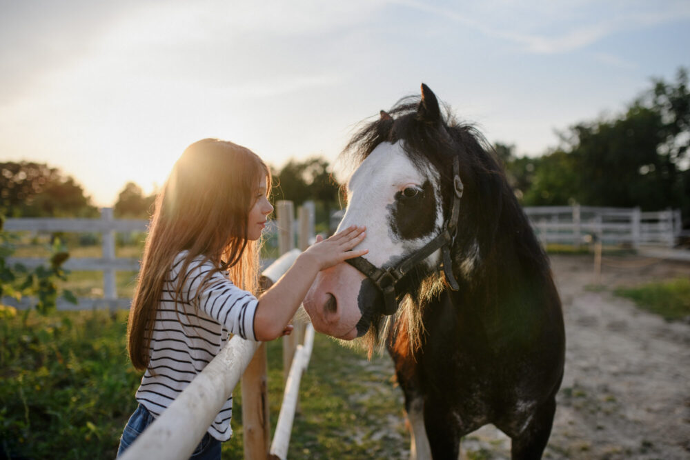 Hest i terapi. Foto viser jente som møter en hest.