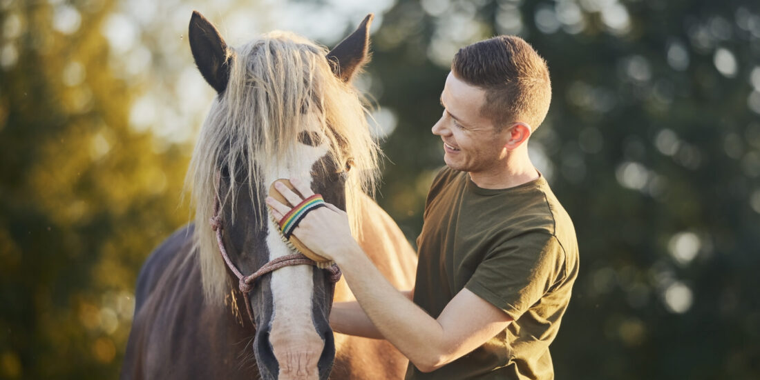 Hest i terapi. Foto viser en mann som børster en hest.