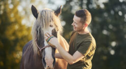 Hest i terapi. Foto viser en mann som børster en hest.