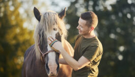 Hest som kollega kan beskytte terapeuter mot utbrenthet
