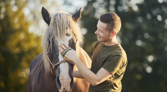 Hest i terapi. Foto viser en mann som børster en hest.