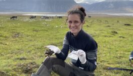 Svalbardrein har høye nivåer av «evighetskjemikalier»