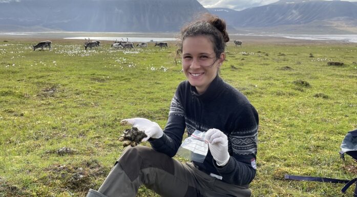 Svalbardrein. Bildet viser Malin Andersson Stavridis med reinsdyrmøkk.