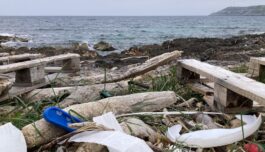 Slik påvirker mikroplast karbonopptaket i havet