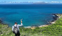 Botanikkens svar på Darwins finker avslører evolusjon i sanntid